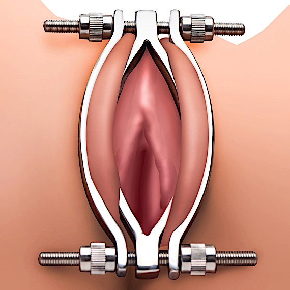 Stainless Steel Adjustable Pussy Clamp