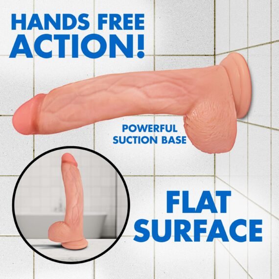 PH813-Light_WebImage_2024_003