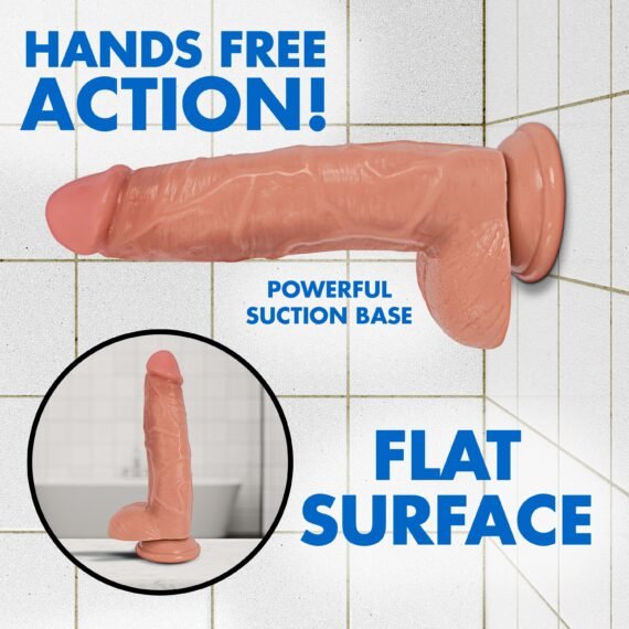 PH814-Light_WebImage_2024_003