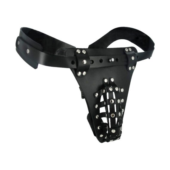 ac684-safety-net-chastity-belt-bulk-front-original