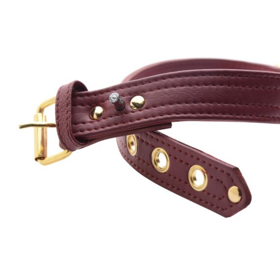 ae798-collar-clasp