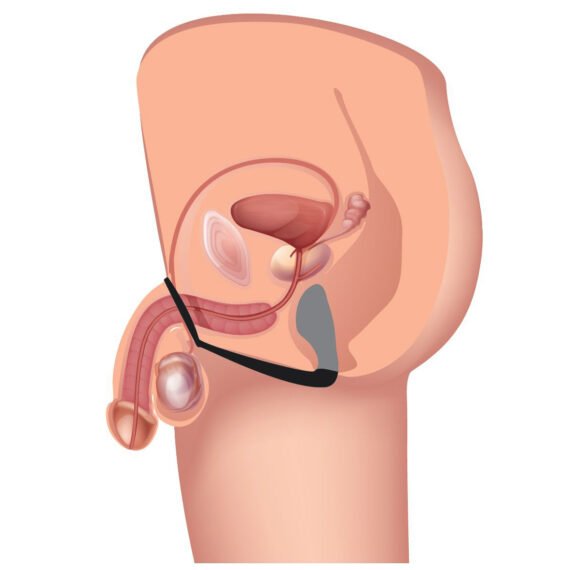 af124-explorer-ii-prostate-stimulator-diagram