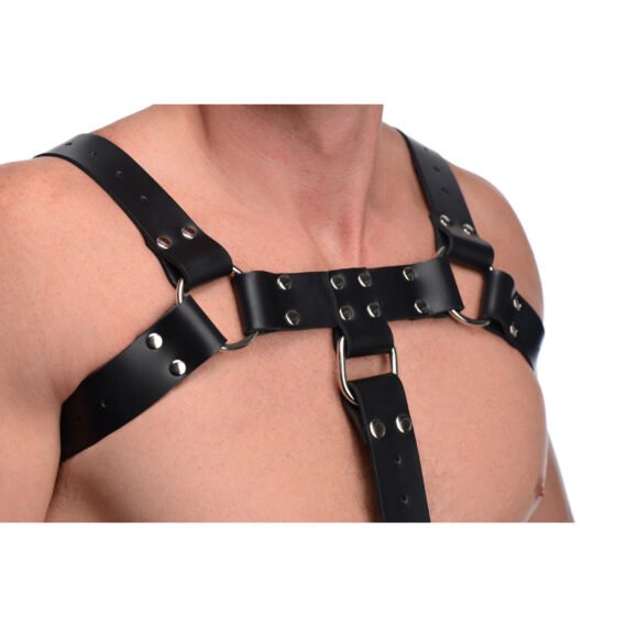 af551-std-model-chest-strap