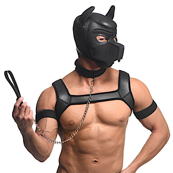 Full Pup Arsenal Set