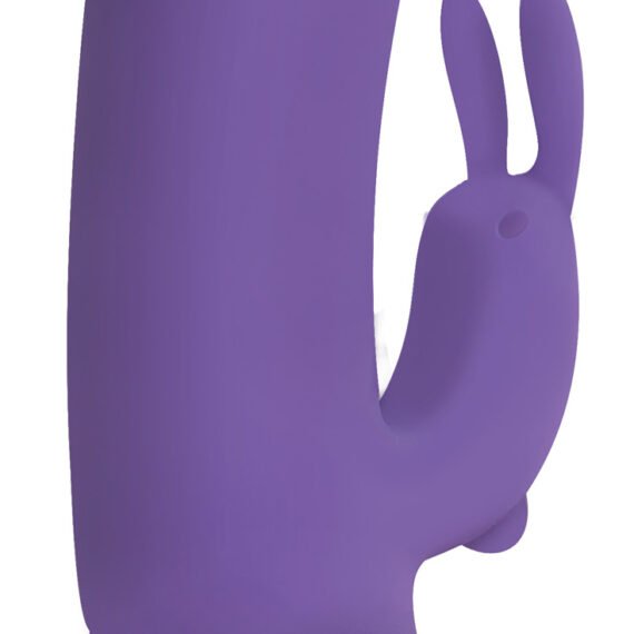 cn-21-2001-40-thumper-violet-side-300