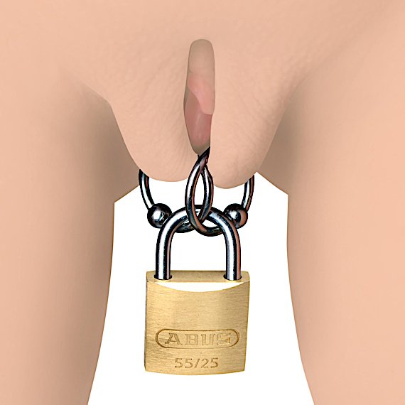 ABUS Lock