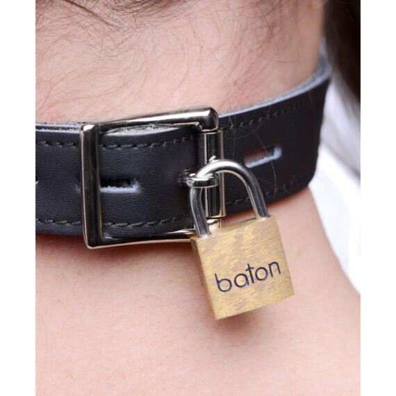 st610-model-detail-back